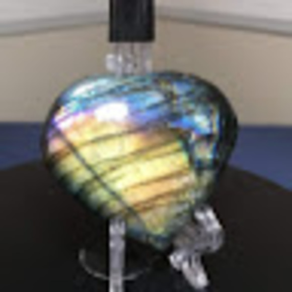 Meet your Posher, Dalilah - Picture 1 of 1